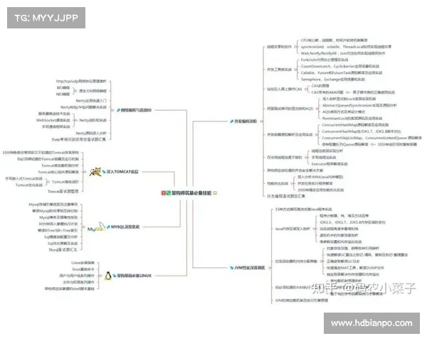 全面掌握澳洲杯赛事入门技巧新手快速提升全方位深度指南解析全览 全面掌握澳洲杯赛事入门技巧新手快速提升全方位深度指南解析全览